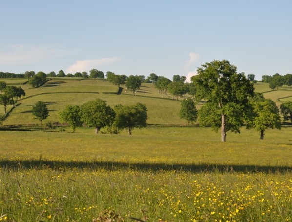 Biosécurité