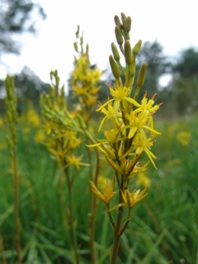 source CEN Nouvelle Aquitaine